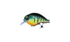 Armstrong Outfitters S'Krank -Daiwa Store AOT1.5Glim RTiger