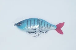 Armstrong Outfitters Glide Bait 11 Armstrong Outfitters Glide Bait -Daiwa Store ArmstrongGlideBaitTilapia