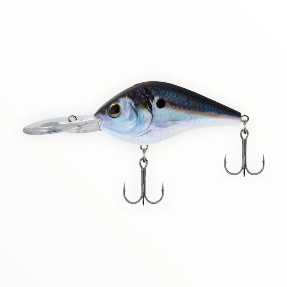 Berkley Dredger 10 Berkley Dredger - Image 10