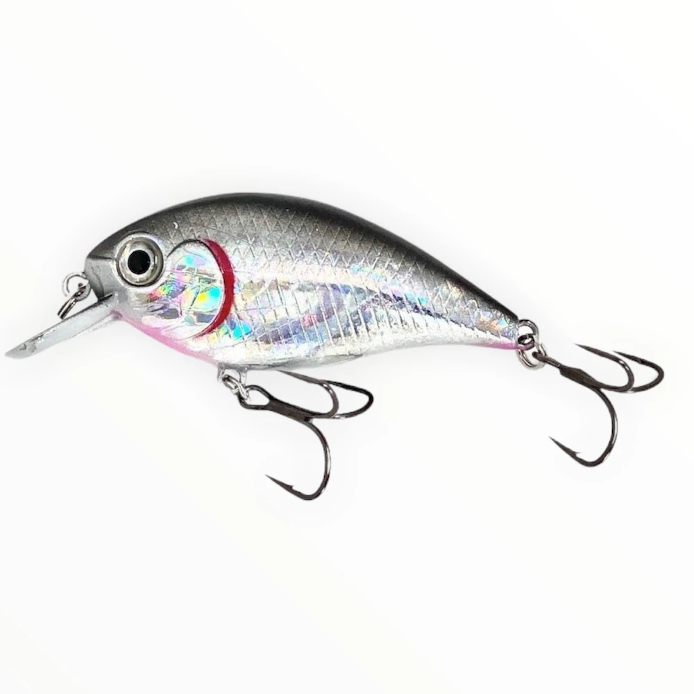 Bass Assets Kraken 5 3 Bass Assets Kraken 5 - Image 3