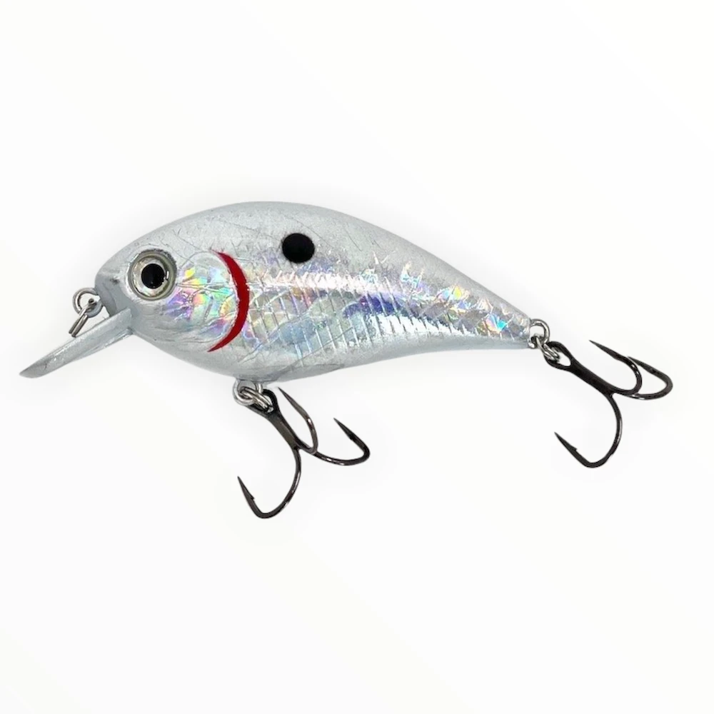 Bass Assets Kraken 5 2 Bass Assets Kraken 5 - Image 2