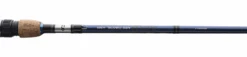 Daiwa AIRD Coastal Baitcast Rod