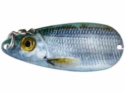 Dixie Jet Pro Series Gizzard Spoon 9 Dixie Jet Pro Series Gizzard Spoon -Daiwa Store DixieJet ProSeriesGizzardSpoon SilverShiner