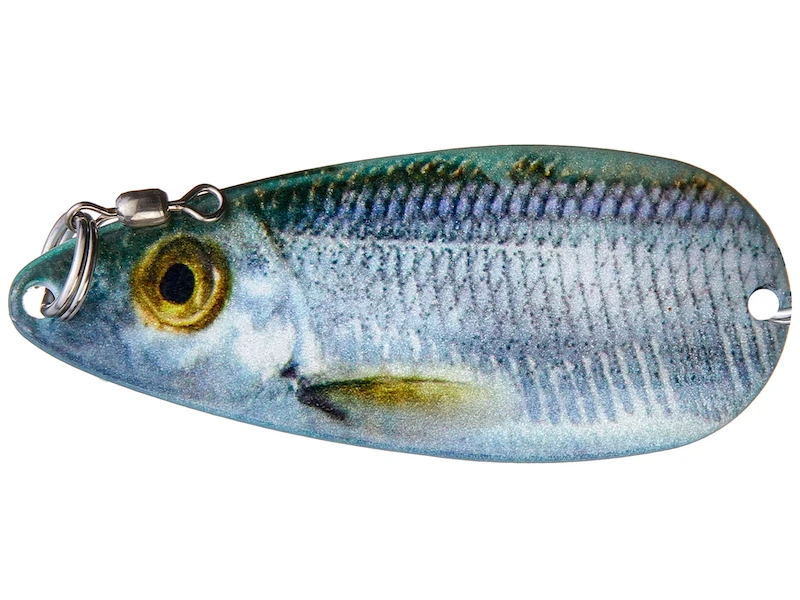 Dixie Jet Pro Series Gizzard Spoon 3 Dixie Jet Pro Series Gizzard Spoon - Image 3