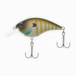 Berkley Frittside -Daiwa Store F5B mf bluegill