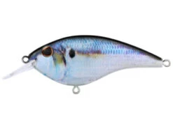 Berkley Frittside -Daiwa Store Frittside HD Threadfin
