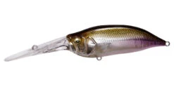 Megabass IxI Shad