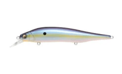 Megabass Ito Shiner -Daiwa Store ITO SHINER SEXY FRENCH PEARL