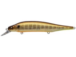 Megabass Ito Shiner -Daiwa Store ItiShinerGalaxyShiner