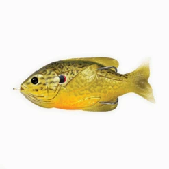Live Target Hollow Body Sunfish -Daiwa Store LT HBS green bronze ps