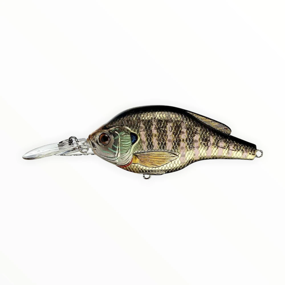 Live Target Bluegill 2 Live Target Bluegill - Image 2