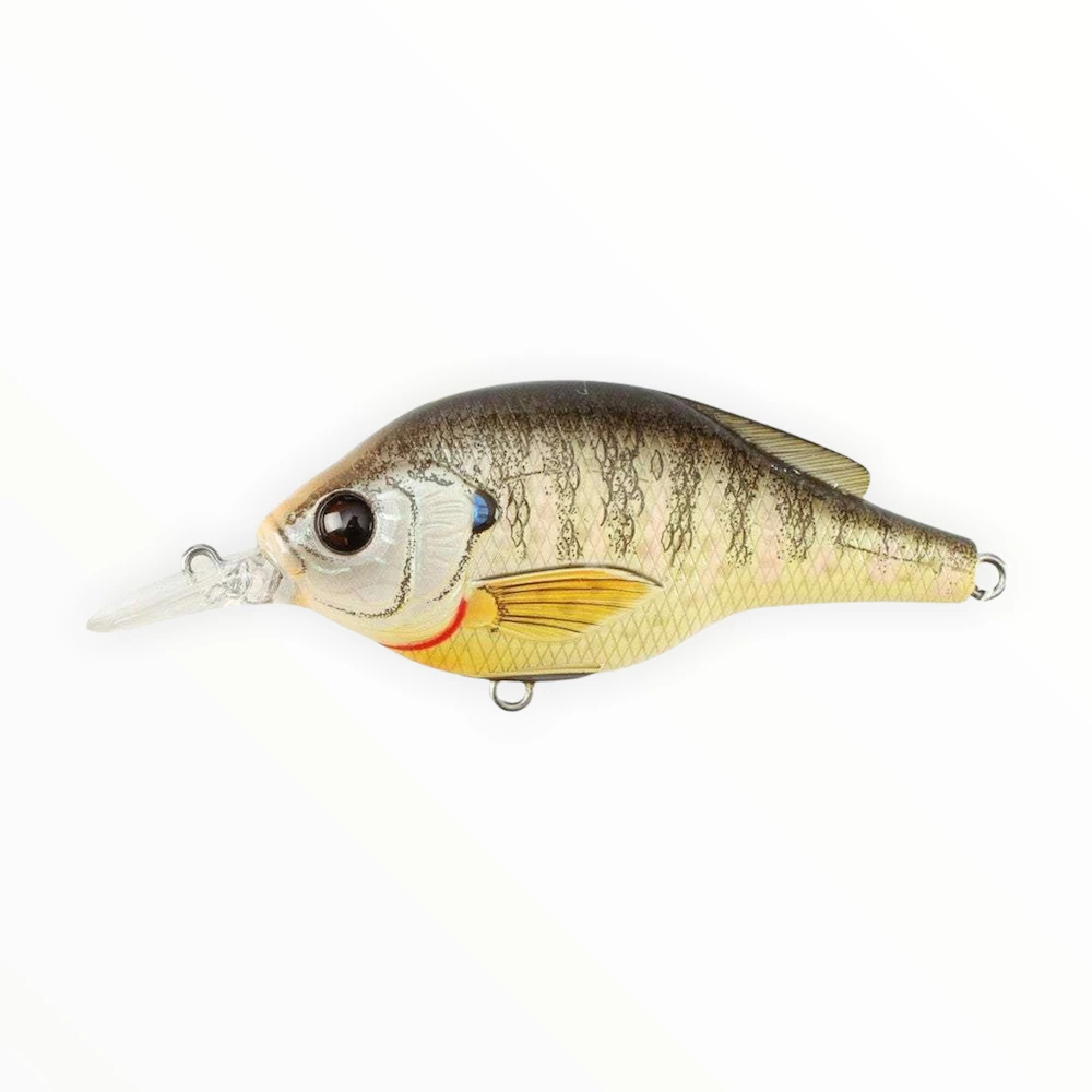 Live Target Bluegill 1 Live Target Bluegill