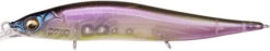 Megabass Vision 110+2 -Daiwa Store Megabass110NorthernSecret 5a208e4f 2c41 42f3 a235 75ea0216b8ef
