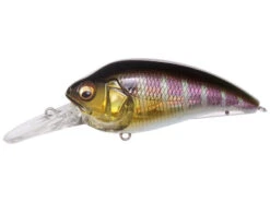 Megabass Super Z1-Z2-Z3 Crankbaits -Daiwa Store Megabass Z2 GG Gill