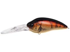 Megabass Super Z1-Z2-Z3 Crankbaits -Daiwa Store Megabass Z3 It Craw