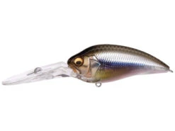 Megabass Super Z1-Z2-Z3 Crankbaits -Daiwa Store Megabass Z3 Kasumi Ito