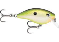 Rapala OG Rocco -Daiwa Store OGRoccoBruisedCitrus