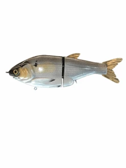 Zimmer Instigator 8" Glide Baits -Daiwa Store PhotoRoom 005 20230523 112927