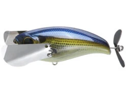 Jackall Pompadour -Daiwa Store PompadourRTShad