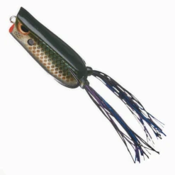 Spro Bronzeye Pop 60 -Daiwa Store SPRO BP60 killer gill