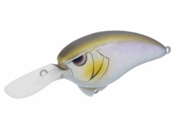 SPRO Outsider Crankbait MR 60 8 SPRO Outsider Crankbait MR 60 -Daiwa Store SPRO MR60 DirtyGizzard