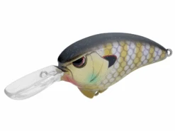 SPRO Outsider Crankbait MR 60 9 SPRO Outsider Crankbait MR 60 -Daiwa Store SPRO MR60 PhantomBluegill