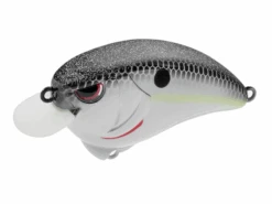 SPRO Outsider Crankbait SR 55 10 SPRO Outsider Crankbait SR 55 -Daiwa Store SPRO SR55 NastyPop