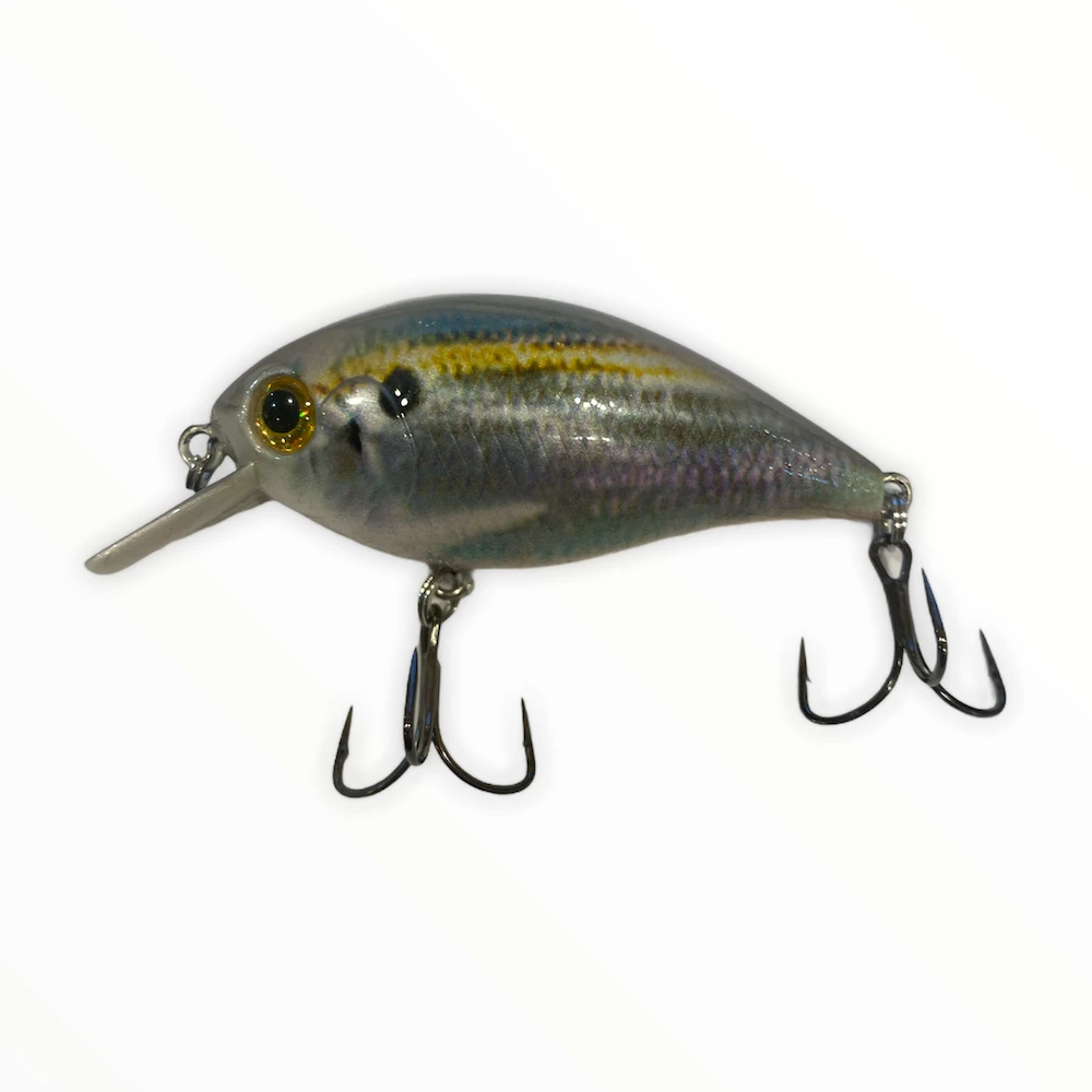 Bass Assets Kraken 5 5 Bass Assets Kraken 5 - Image 5