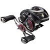 Daiwa Steez SV-TW Baitcast Reel