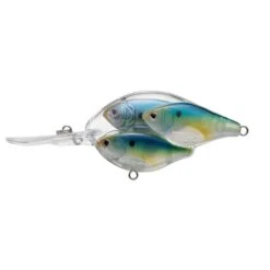 Live Target Threadfin Shad Baitball